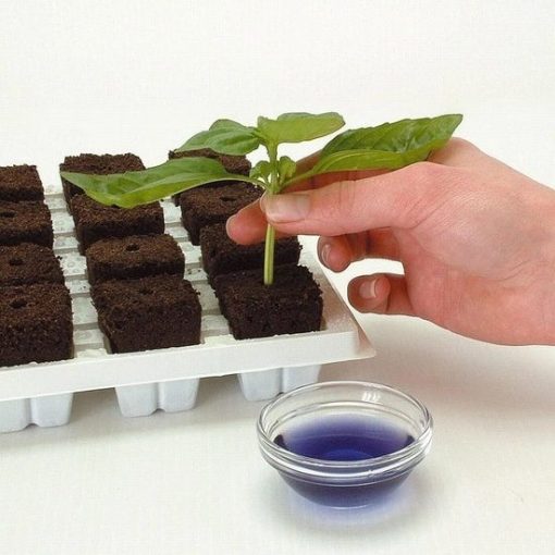 Root Riot Tray Growth Technology Root Riot 24 cubes tray – organic starter cubes for ...